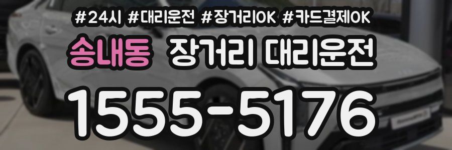 송내동 장거리 대리운전