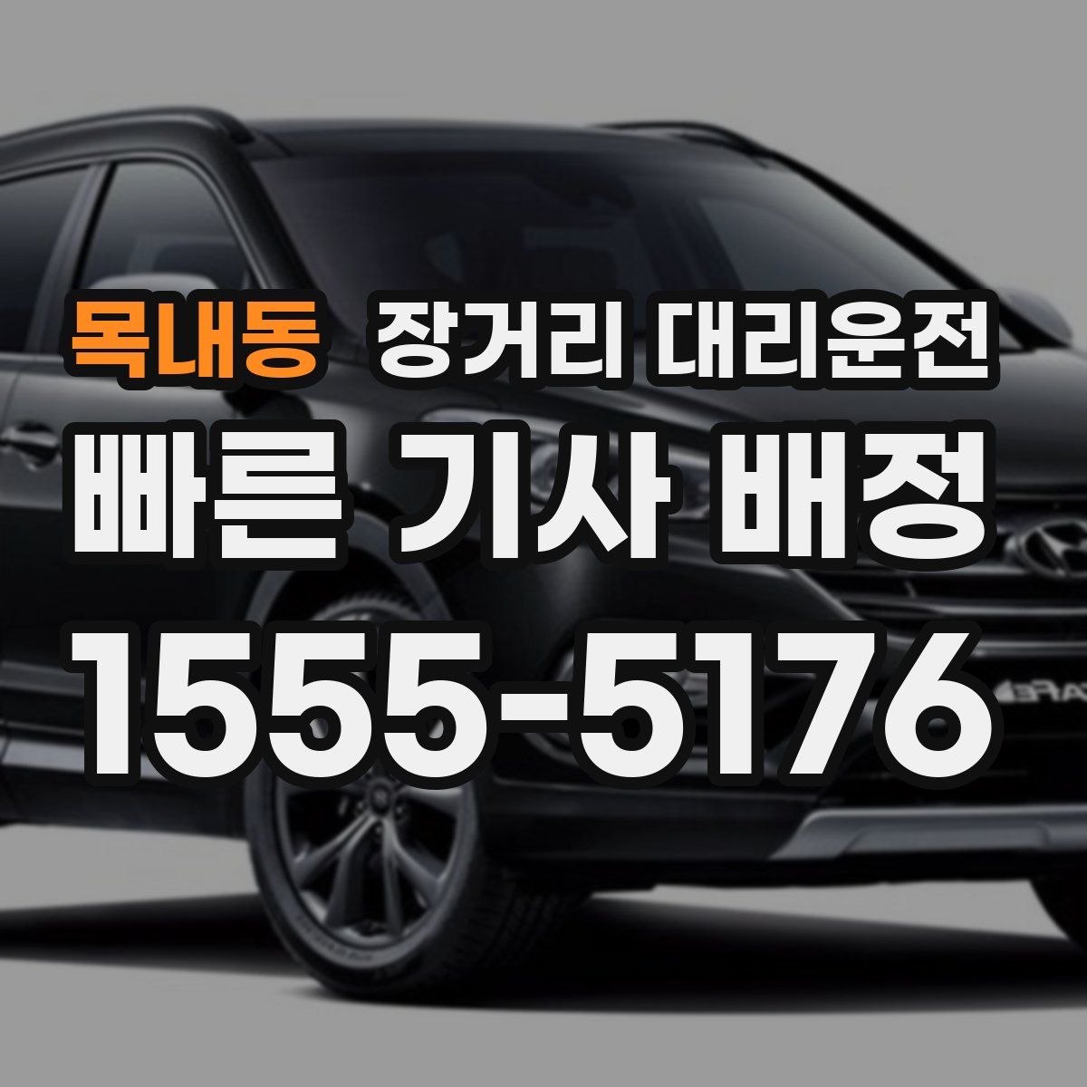 목내동 장거리 대리운전