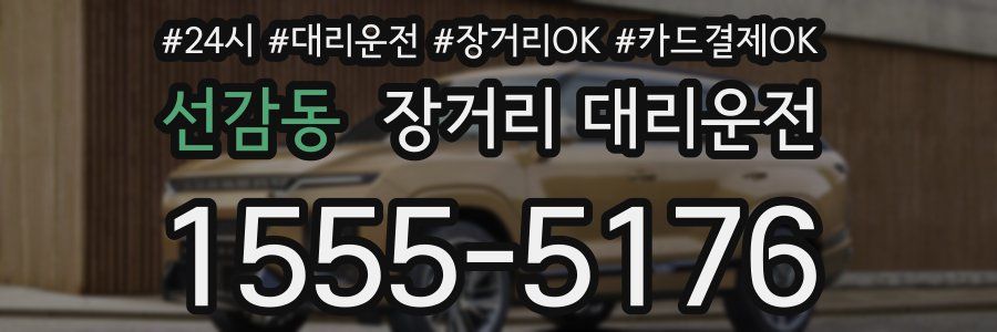 선감동 장거리 대리운전