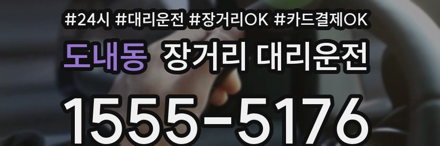도내동 장거리 대리운전