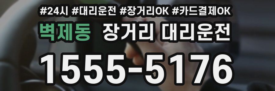 벽제동 장거리 대리운전