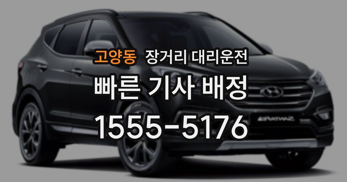 고양동 장거리 대리운전