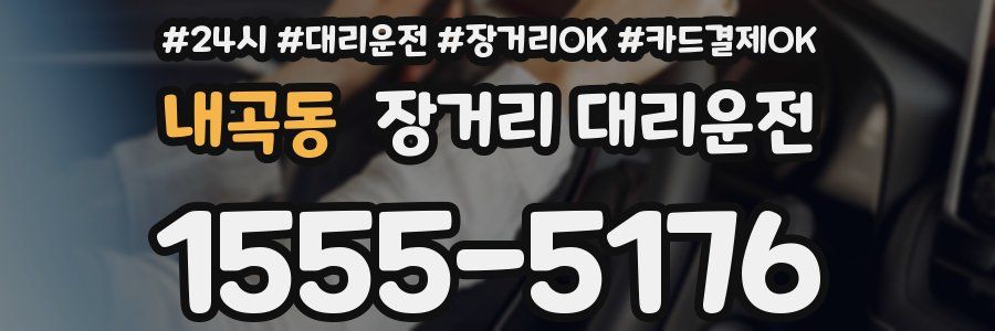 내곡동 장거리 대리운전