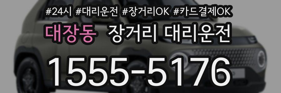 대장동 장거리 대리운전