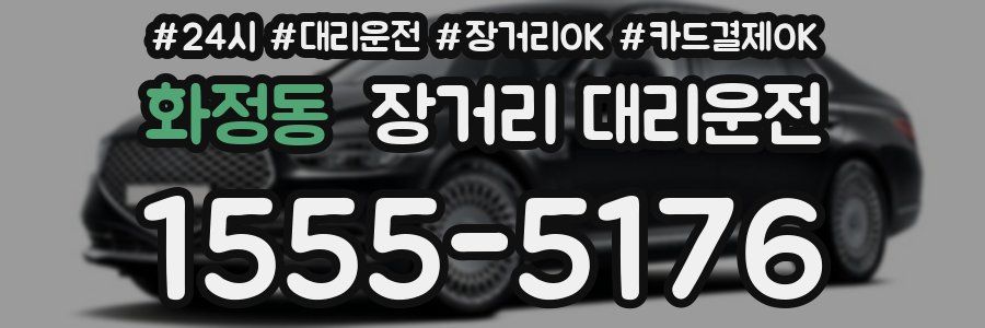 화정동 장거리 대리운전