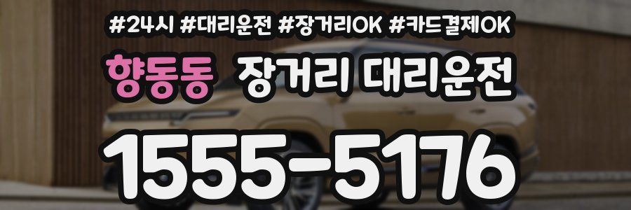 향동동 장거리 대리운전