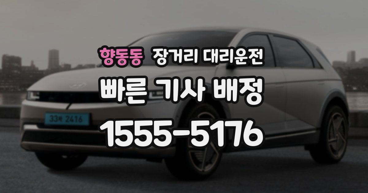 향동동 장거리 대리운전