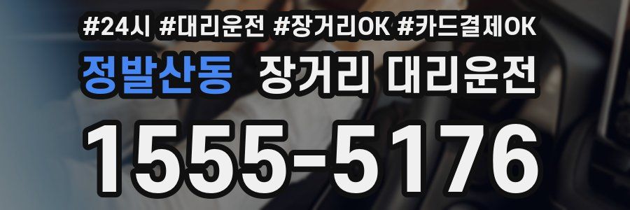 정발산동 장거리 대리운전