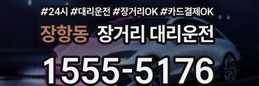 장항동 장거리 대리운전