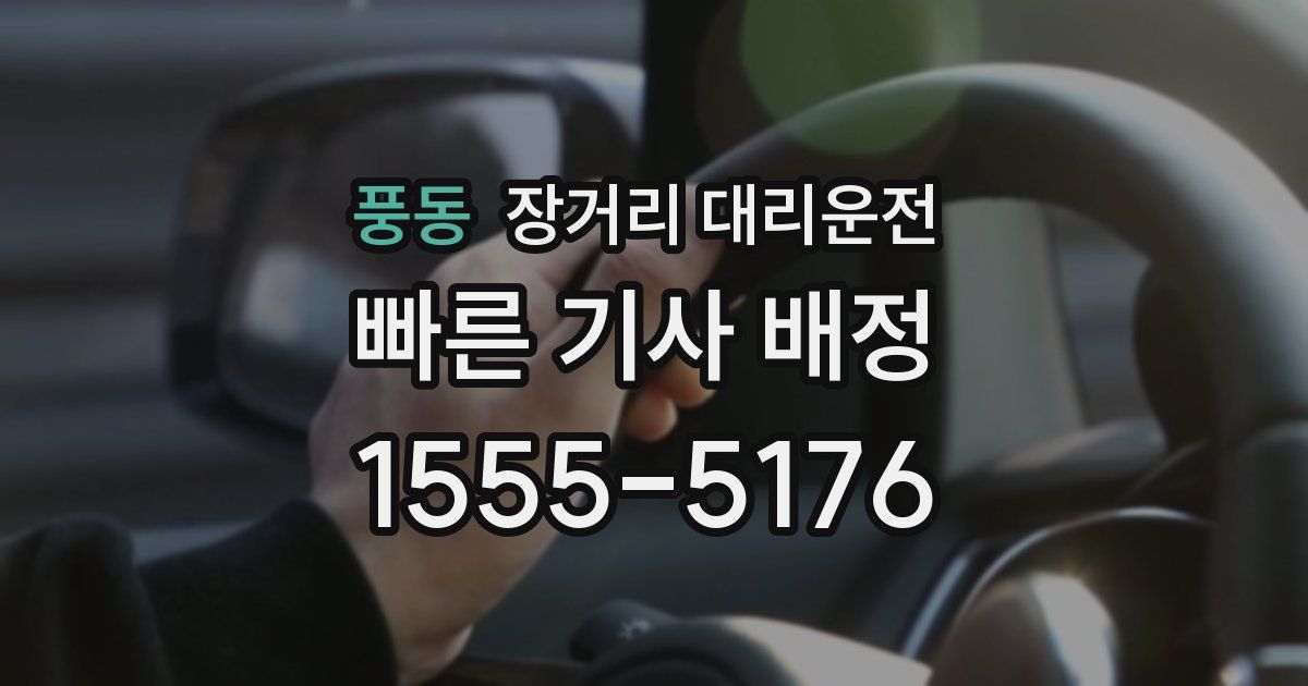 풍동 장거리 대리운전