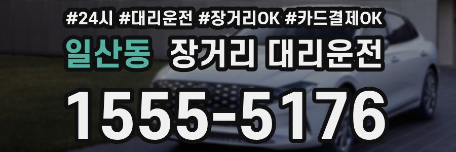 일산동 장거리 대리운전