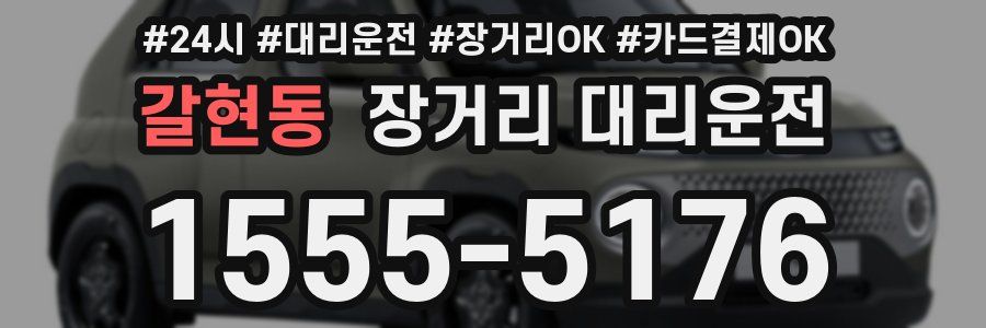 갈현동 장거리 대리운전