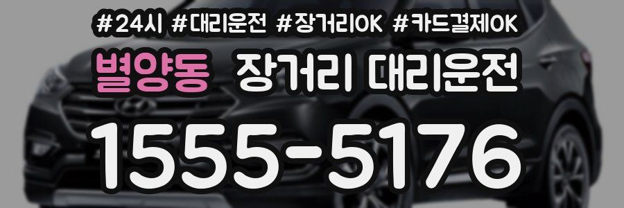 별양동 장거리 대리운전