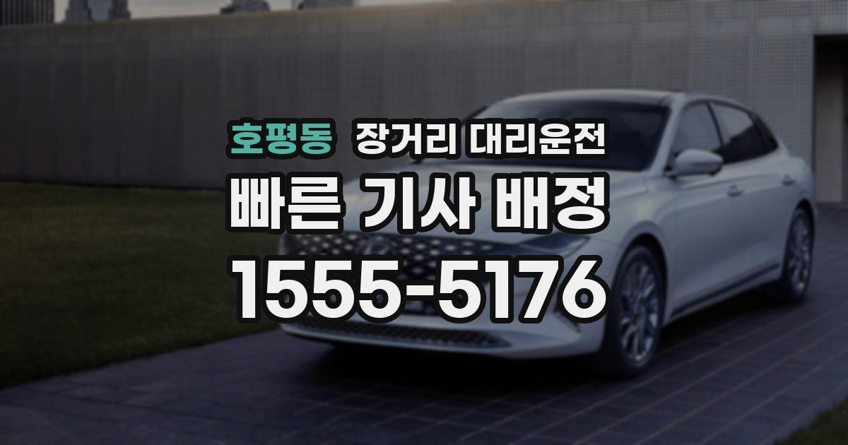 호평동 장거리 대리운전