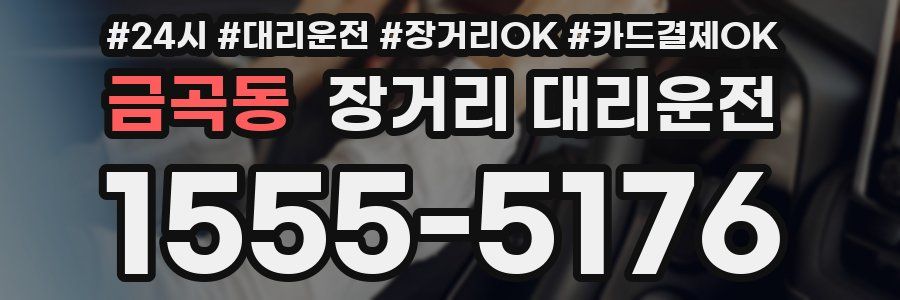 금곡동 장거리 대리운전