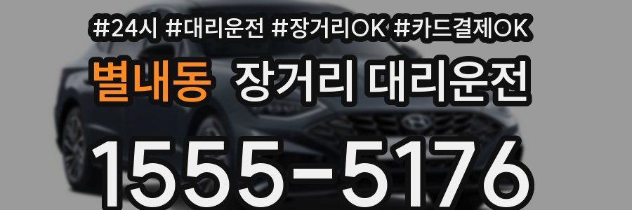 별내동 장거리 대리운전