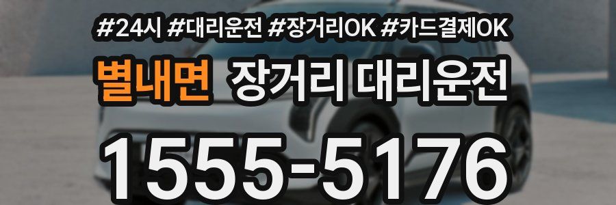 별내면 장거리 대리운전