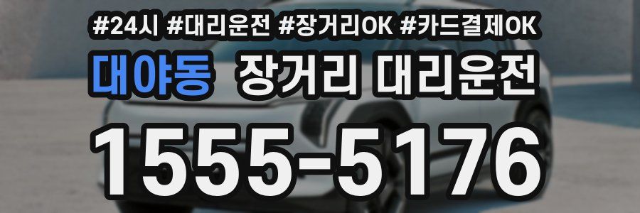 대야동 장거리 대리운전