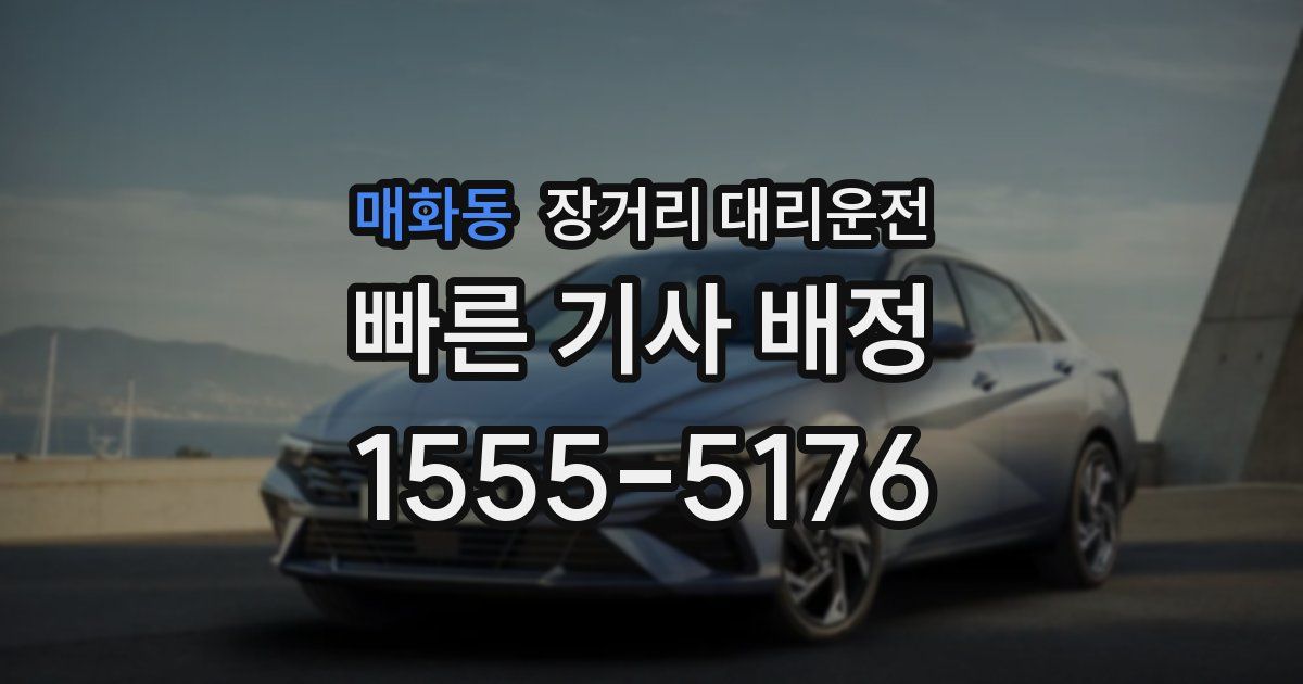 매화동 장거리 대리운전