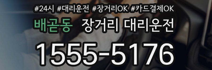 배곧동 장거리 대리운전