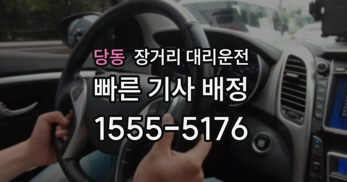 당동 장거리 대리운전