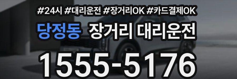 당정동 장거리 대리운전