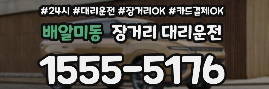 배알미동 장거리 대리운전