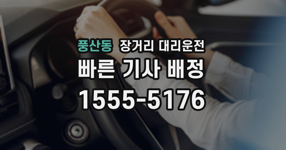 풍산동 장거리 대리운전