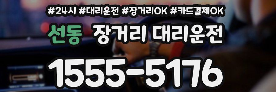 선동 장거리 대리운전