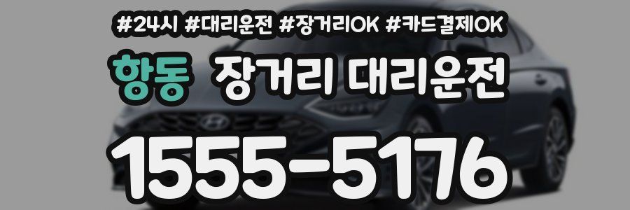 항동 장거리 대리운전