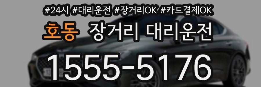 호동 장거리 대리운전