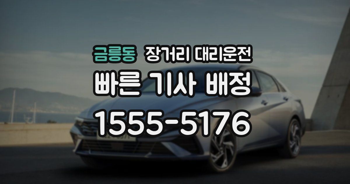 금릉동 장거리 대리운전