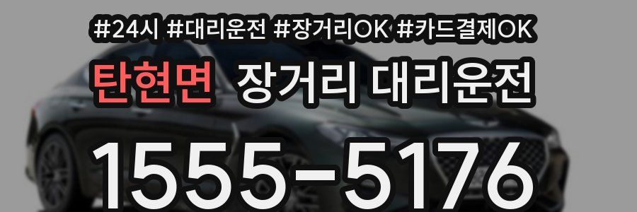 탄현면 장거리 대리운전