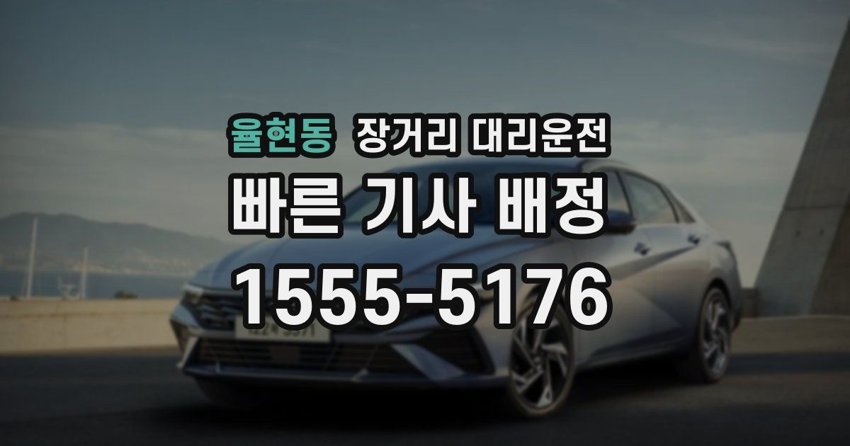 율현동 장거리 대리운전
