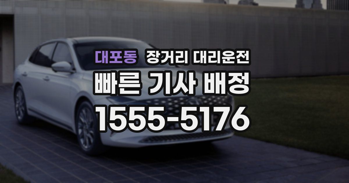 대포동 장거리 대리운전
