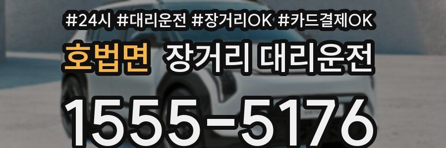 호법면 장거리 대리운전