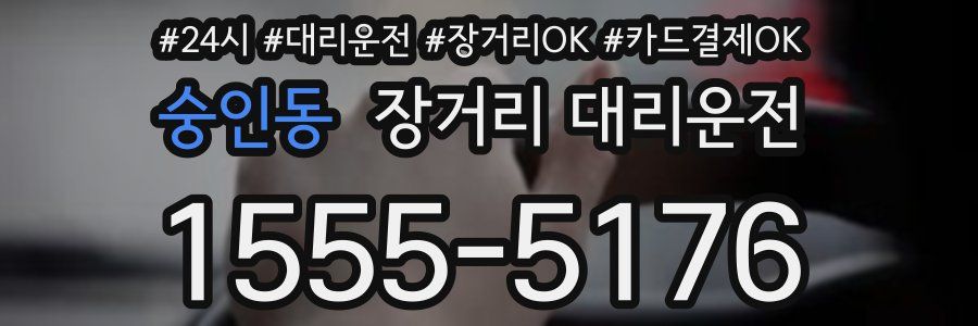 숭인동 장거리 대리운전