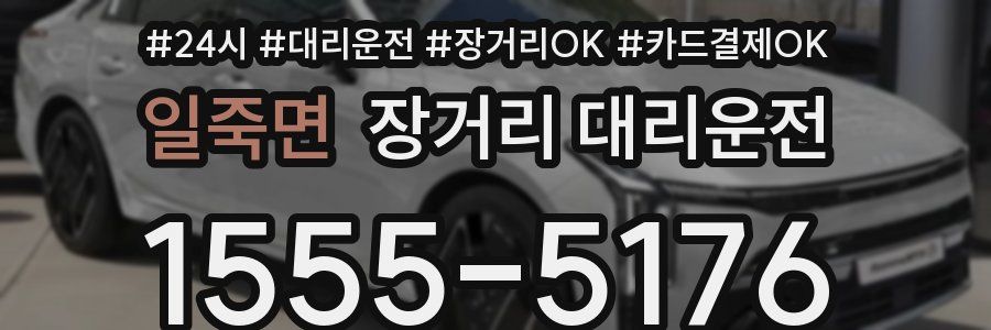 일죽면 장거리 대리운전
