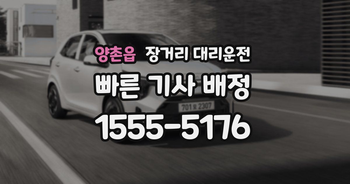 양촌읍 장거리 대리운전
