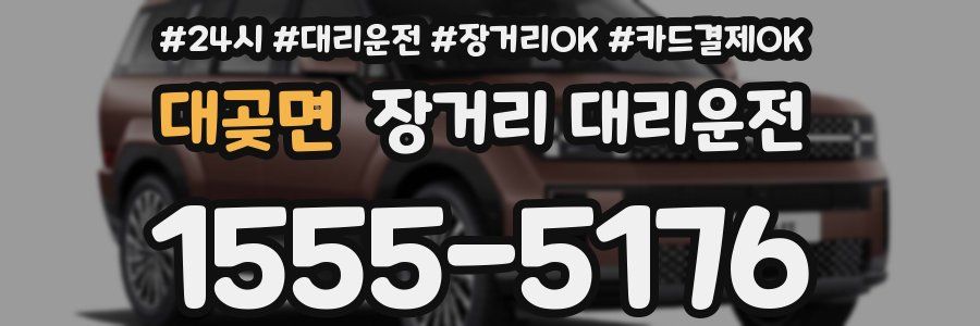 대곶면 장거리 대리운전