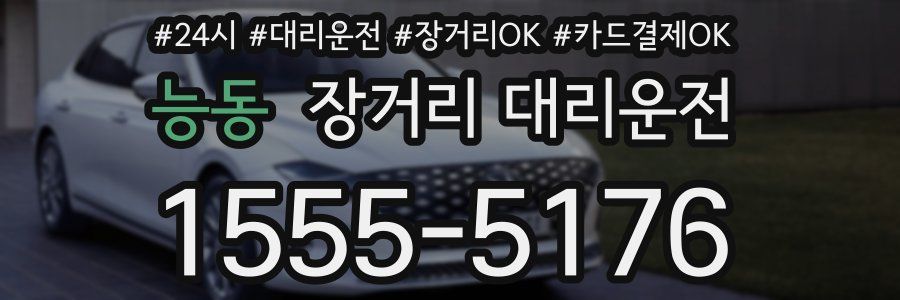 능동 장거리 대리운전