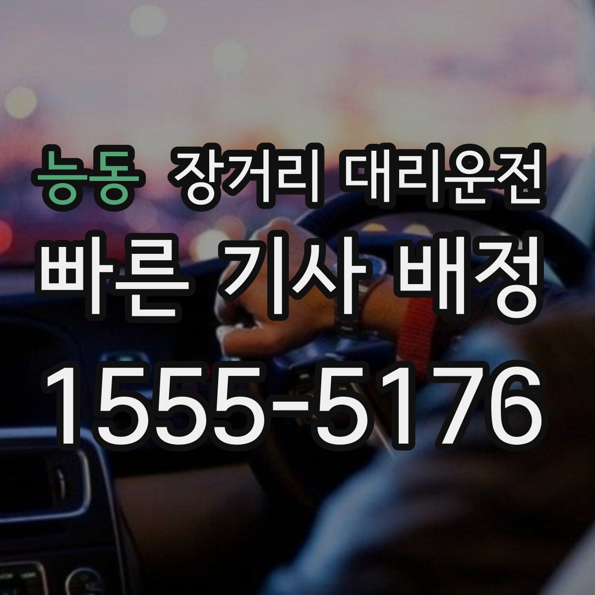능동 장거리 대리운전