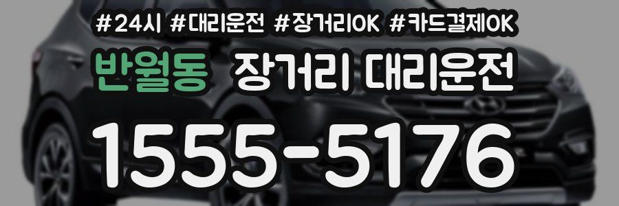 반월동 장거리 대리운전