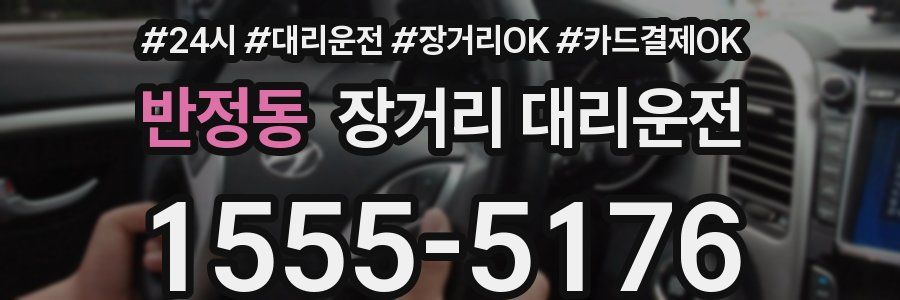 반정동 장거리 대리운전