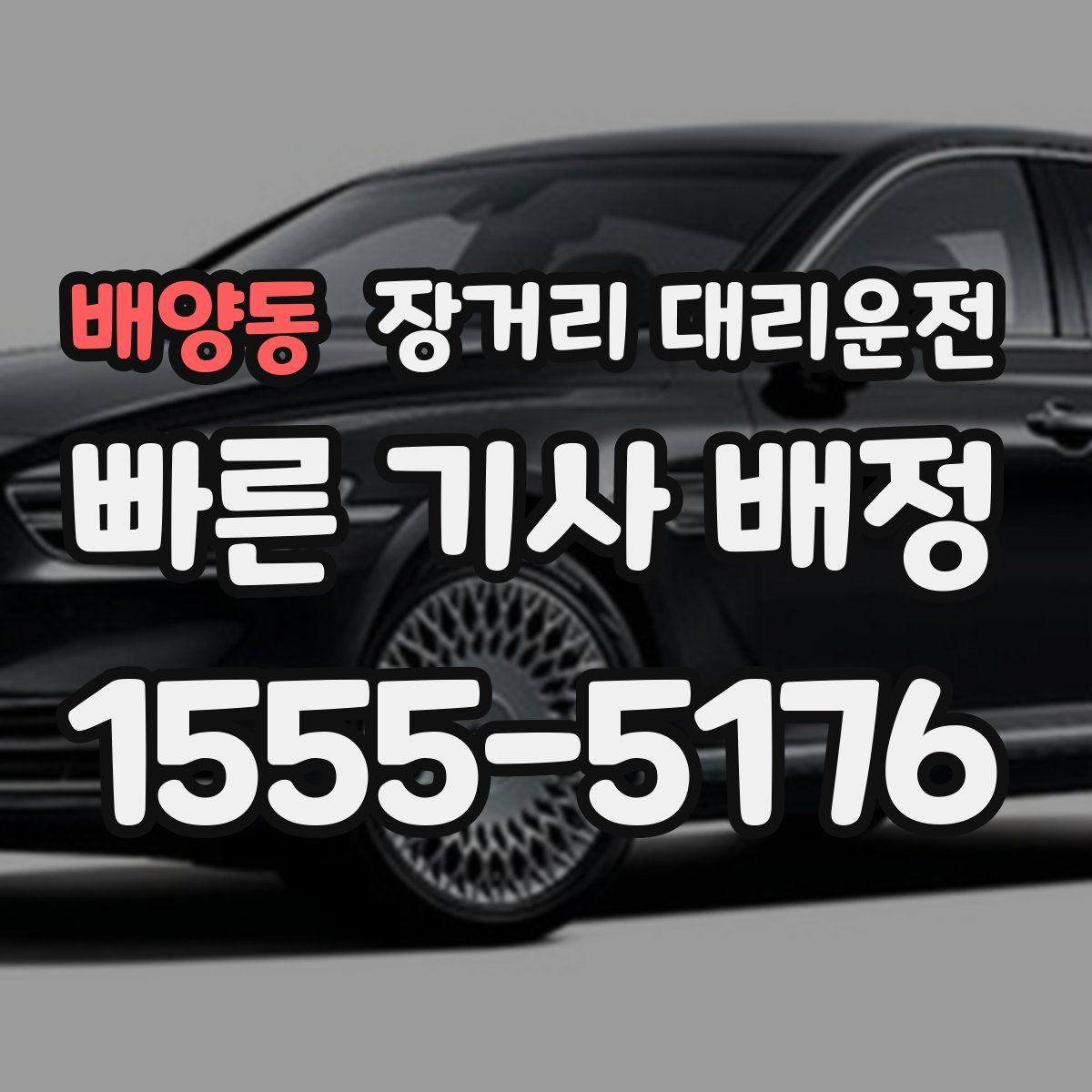 배양동 장거리 대리운전