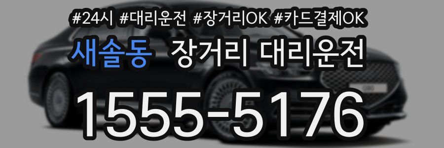 새솔동 장거리 대리운전