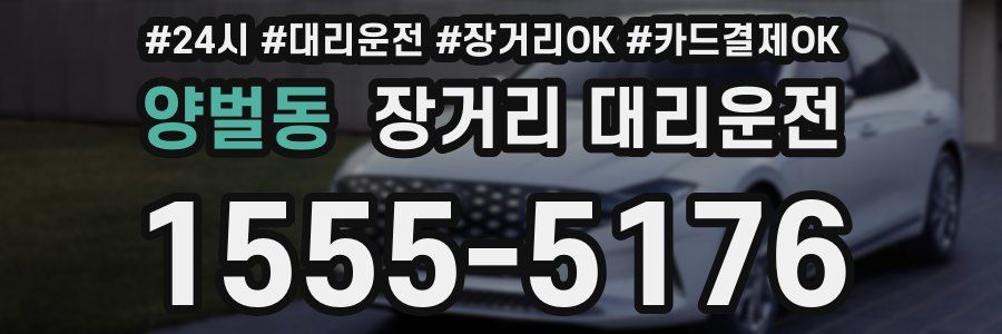 양벌동 장거리 대리운전