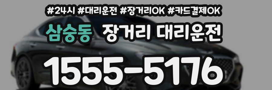 삼숭동 장거리 대리운전