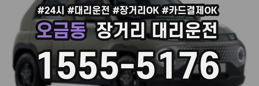 오금동 장거리 대리운전