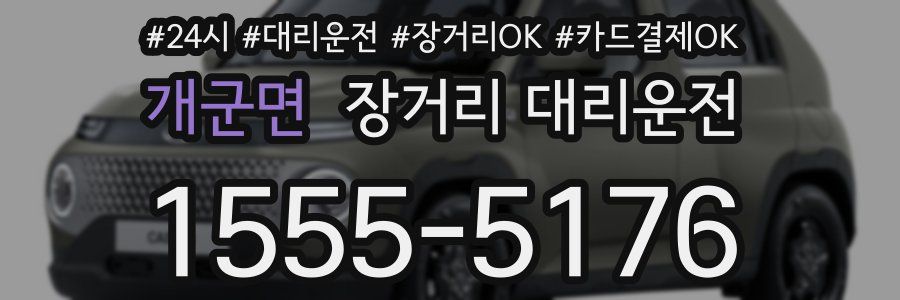 개군면 장거리 대리운전